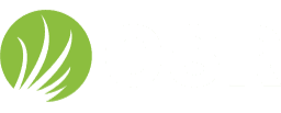 OSR logo 